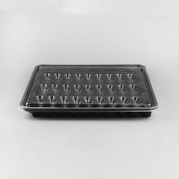 1036 초밥용기 바디